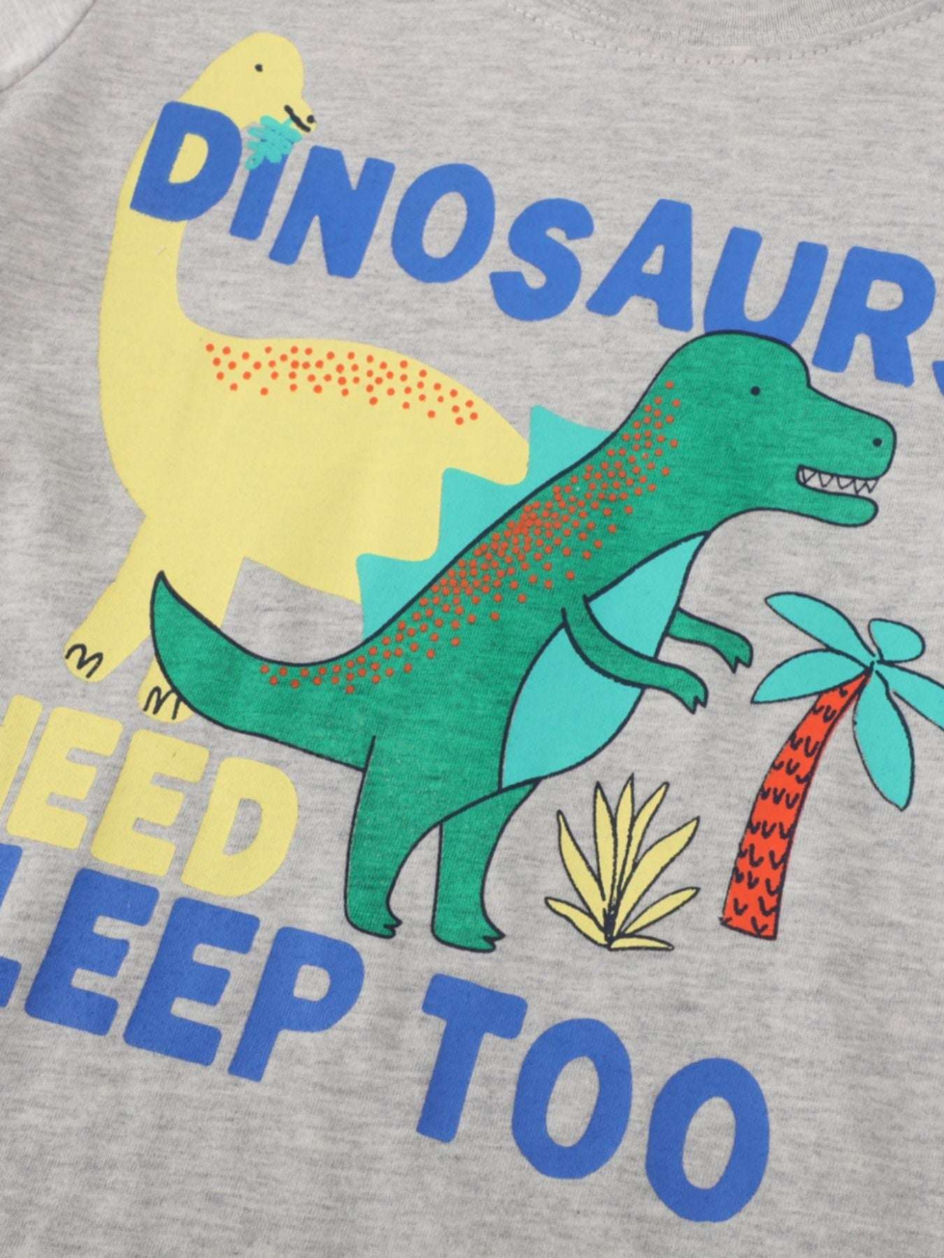 Children's gray tee with colorful dinosaur graphic and text print