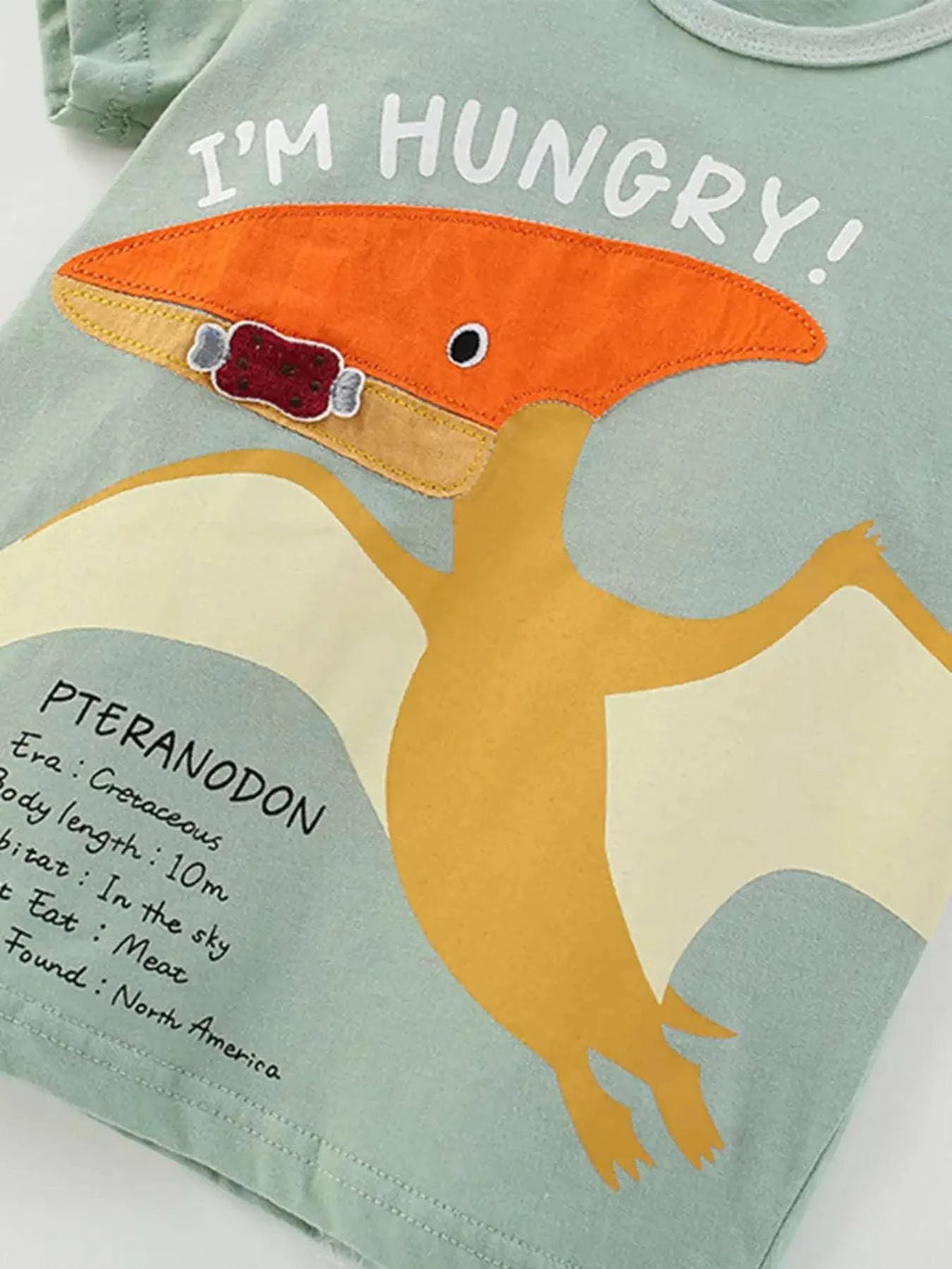 Sage kids short-sleeve T-shirt with orange dinosaur graphic and small printed text